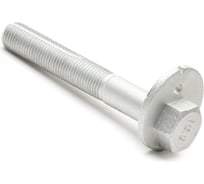 Болт-эксцентрик NISSAN QASHQAI / X-TRAIL / DUALIS RENAULT KOLEOS 2008-2015 PATRON PBLT056