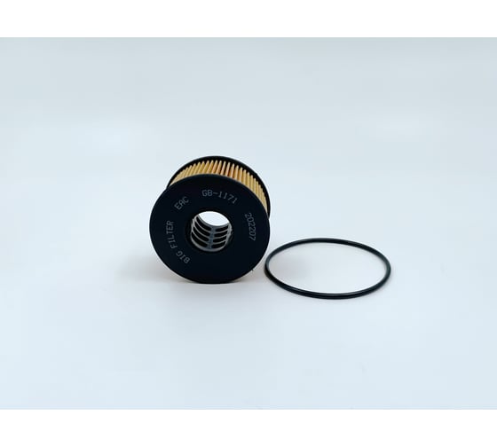 Фильтр масляный FORD Mondeo III, Transit V (FY); JAGUAR X-Type (2.0, 2.2, 2.4 TDCi) BIG FILTER GB-1171