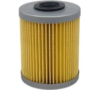 Фильтр топливный OPEL Astra G 1.7 CTDI, 2.0 DI/TDI 02-09, Corsa C, Vectra 96-05 BIG FILTER GB-6421