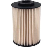 Фильтр топливный FORD Mondeo IV; VOLVO C30, C70 II, S40 II, S60 II/V60, S80 II, V40 II; V50, V70 II, XC60, XC70 II 2.0; 2.4 BIG FILTER GB-6437