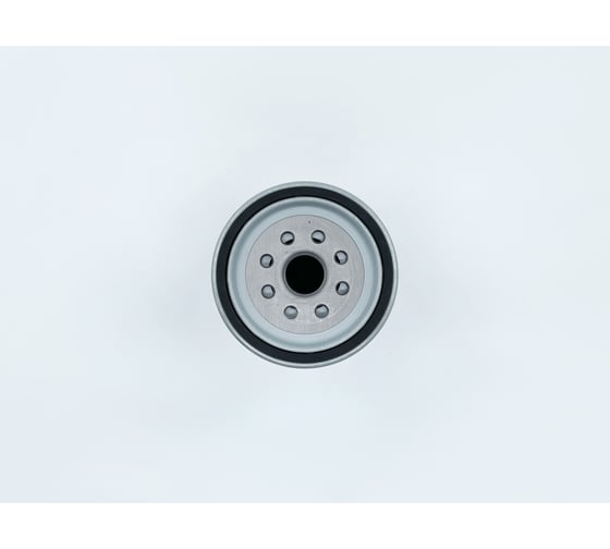 Фильтр топливный RENAULT TRUCKS RVI Kerax, Magnum, Premium Distribution/Route, Premium Lander; VOLVO TRUCKS FH II, FH, FH Classic (05-), FM / FMX / FMX Classic (05-), FM 12 (98-05) BIG FILTE