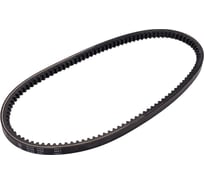 Ремень клиновой Audi PATRON AVX10X638