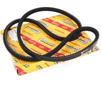 Ремень приводной клиновой 13x1500 мм для а/м ГАЗ 66/3308/ПАЗ 3205 Riginal RGAVX13x1500