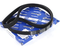 Ремень поликлиновой 6PK1555 для а/м Chevrolet Aveo/Cruze/Orlando 1.4/1.6/1.8 09- Riginal RG6PK1555