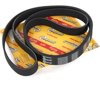 Ремень поликлиновой 8PK2450 для а/м ГАЗель-Next дв. Cummins ISF 2.8L с кондиционером Riginal RG8PK2450