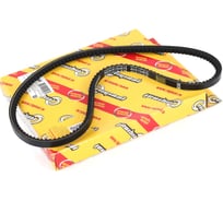 Ремень приводной клиновой 10x875 мм для дв. 4215,4216 ЕВРО-3, ИЖ-2126 Riginal RGAVX10x875