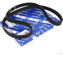 Ремень поликлиновой 6PK1230 для а/м Toyota RAV 4 III 2.0 4WD Riginal RG6PK1230