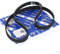 Ремень поликлиновой 6PK1255 для а/м Kia Picanto II 1.0 Riginal RG6PK1255