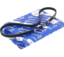 Ремень поликлиновой 4PK855 для а/м Audi A4 B5 (8D2) 1.9 TDI Riginal RG4PK855