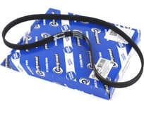 Ремень поликлиновой 4PK885 для а/м Kia Rio I седан (DC) 1.5 16V Riginal RG4PK885