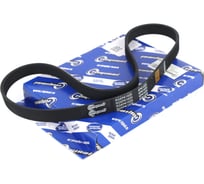 Ремень поликлиновой 6PK1020 для а/м Ford Focus-III, Mondeo-IV 1.6 Riginal RG6PK1020