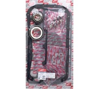Комплект прокладок двигателя PATRON full set with CHG FORD TRANSIT 2.5TD 91> PG1-1073