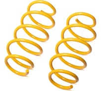 Пружины подвески передние SUFIX SZ-1331