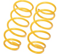 Пружины подвески передние SUFIX SZ-1314