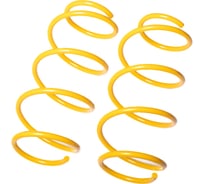 Пружины подвески передние SUFIX SZ-1353