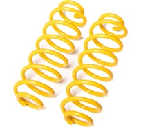 Пружины подвески задние SUFIX SZ-2979