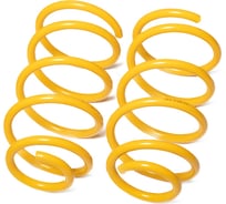 Пружины подвески передние SUFIX SZ-2684