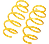 Пружины подвески передние SUFIX SZ-2841