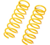 Пружины подвески задние SUFIX SZ-2910