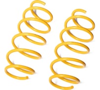 Пружины подвески передние SUFIX SZ-2674