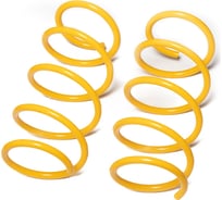 Пружины подвески передние SUFIX SZ-2758