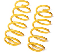 Пружины подвески передние SUFIX SZ-2835