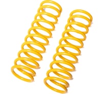 Пружины подвески задние SUFIX SZ-1360