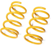 Пружины подвески задние SUFIX SZ-2969