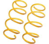 Пружины подвески передние SUFIX SZ-1323