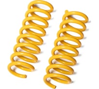 Пружины подвески задние SUFIX SZ-1381