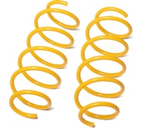 Пружины подвески передние SUFIX SZ-2685