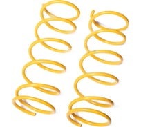 Пружины подвески задние SUFIX SZ-1376