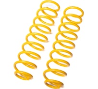 Пружины подвески передние SUFIX SZ-1423