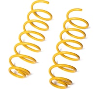 Пружины подвески задние SUFIX SZ-1271