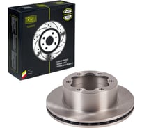 Диск тормозной задний для автомобилей Mercedes Sprinter (06-) / VW Crafter (06-) d=303 (2 шт.) TRIALLI DF 190408