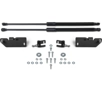 Газовые упоры капота для jac js4 2022-н.в./москвич 3/3e 2022-н.в., 2 шт АвтоУпор UJAJS4011