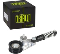 Ролик приводного ремня для автомобилей TRIALLI Ford Mondeo IV (07-) 2.0T с натяжным механизмом CM 5718