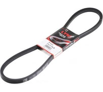 Ремень клиновой LYNXauto 17X1175LB