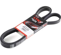 Ремень поликлиновой LYNXauto 6PK2305