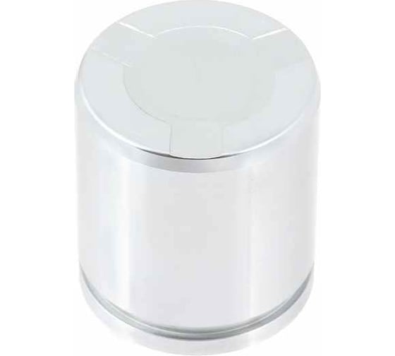 Поршень тормозного суппорта переднего (ø 48 мм, суппорт trw/lucas/girling) LYNXauto BC-4250 1