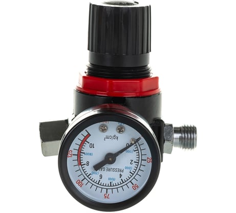 Регулятор давления (1/4"; 8 атм) с манометром Pegas PGS-4602