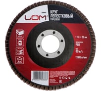 Круг лепестковый торцевой 115x22.2 мм, Р60 ЛОМ 2580663