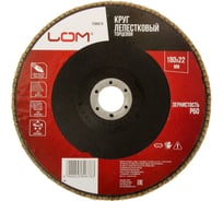 Круг лепестковый торцевой 180x22.2 мм, Р60 ЛОМ 2580678