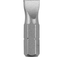 Бита (SL 1.0x5.5 мм; 25 мм; 2 шт.) Bosch 2609255910