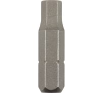 Бита (HEX 2.5; 25 мм; 2 шт.) Bosch 2609255948