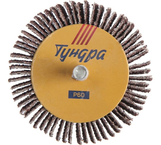 Круг лепестковый радиальный 60x30x6 мм, Р60 ТУНДРА 1875466