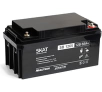 Аккумулятор свинцово-кислотный SKAT SB 1265 Бастион 2541