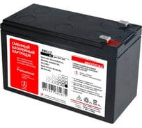 Сменный батарейный картридж для ИБП APC: 12 В, 9 Ач МНОГОТОКА RBC17 Professional