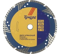Диск алмазный отрезной TURBO-сегмент с защитными секторами, сухой рез, 230x22 мм ТУНДРА 1857772