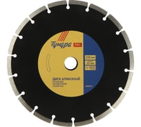Диск алмазный отрезной PRO, повышенный ресурс, сегментный, сухой рез, 230x22 мм ТУНДРА 2966613